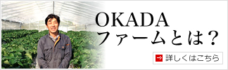 OKADAファームとは？（平群町で野菜を販売）