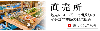 直売所（地元のスーパーで朝採りのイチゴや季節の野菜販売）